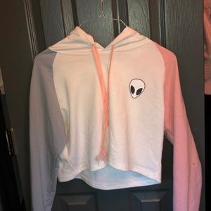 Pastel cropped hoodie